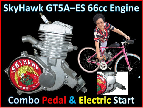 SkyHawk 66cc Gt5A-ES ENGINE only: includes OCDT & Free Shipping