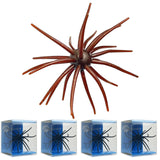 Hottest Big Bass bait going! -------- FREE SHIPPING