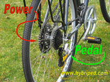 HyBriPed > Engine Chain Disconnect.
