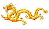 Beautiful set of Dragon decals for black gas tank.