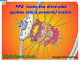 HyBriPed > Engine Chain Disconnect.