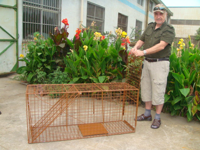 Collapsible Live Animal Trap Cage - China Animal Trap and Cage Trap price